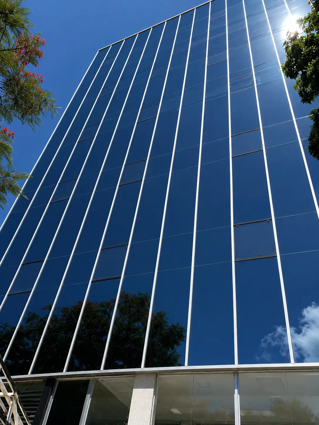 Mamparas divisorias para oficinas y comercios